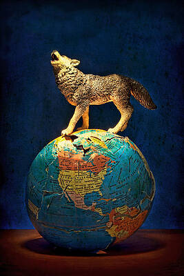 Wall Art - Photograph - Howling At The Light by Jeff  Gettis