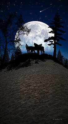 Wall Art - Photograph - Howling At The Moon by Brian Wallace