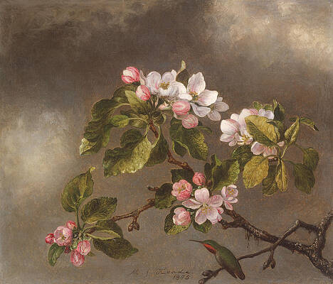 Apple Blossom Paintings Fine Art America