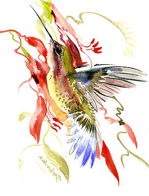 Abstract Hummingbird Paintings Fine Art America