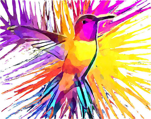 Abstract Hummingbird Paintings Fine Art America