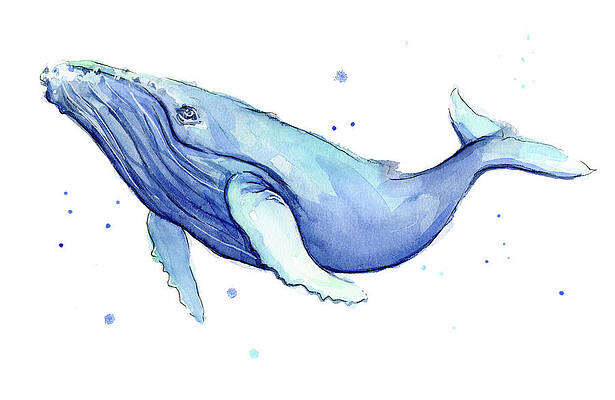 Abstract Whale Paintings Fine Art America