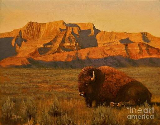 Buffalo Paintings (Page #17 of 74) | Fine Art America