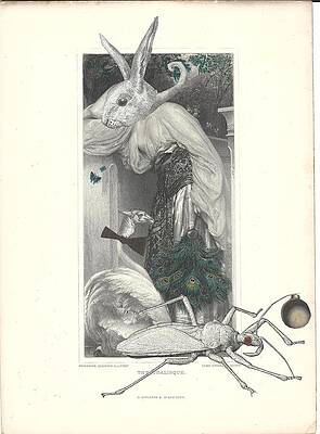 Hybrid Bunny by Linnie Greenberg Hybrid Bunny by Linnie Greenberg