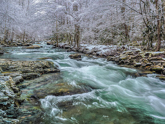 Ice Storm - Tennessee by Mark Christian Ice Storm - Tennessee by Mark Christian