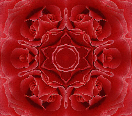 Imperial Red Rose Mandala by Georgiana Romanovna Imperial Red Rose Mandala by Georgiana Romanovna