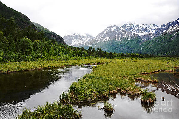 In Road To Denali by Lorenzo Cassina In Road To Denali by Lorenzo Cassina