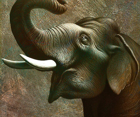Elephants Paintings Fine Art America
