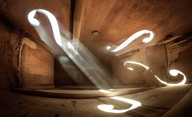 Inside Violin V by Adrian Borda