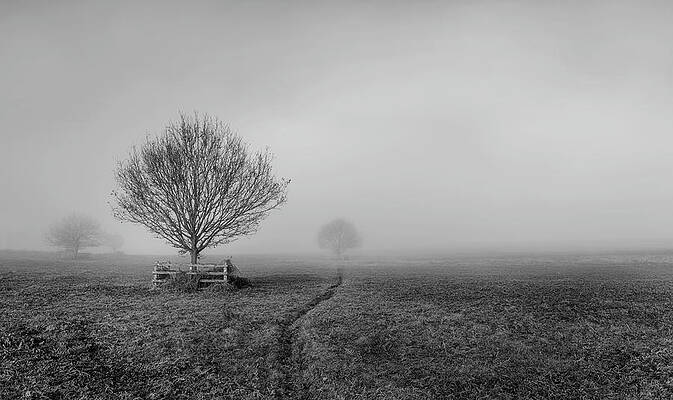 Wall Art - Photograph - Into the Fog by Nick Bywater