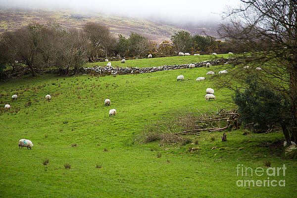 Ireland by Daniel Himmelright
