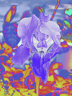 Iris by Magdalene's Art Iris by Magdalene's Art
