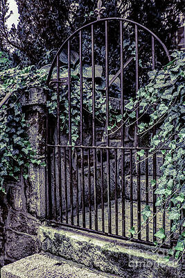 Wall Art - Photograph - Iron Gate Door by Sandy Moulder