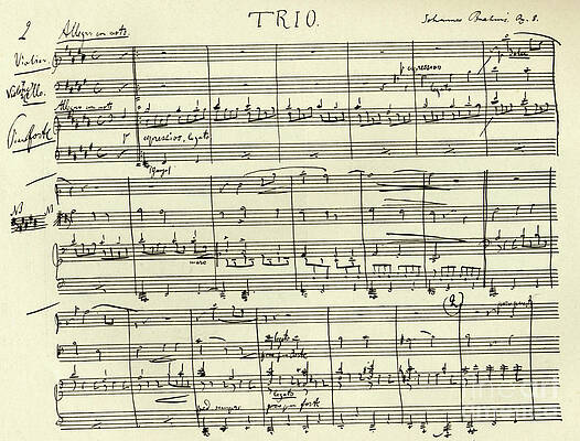 Wall Art - Drawing - J Trio in Bb Major by Johannes Brahms