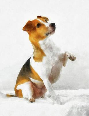 jack russell paintings for sale