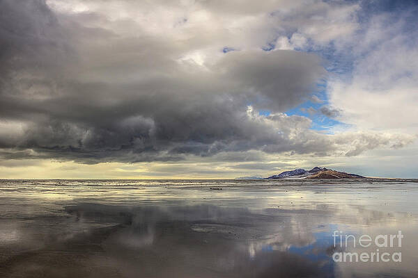 January Storm by Spencer Baugh