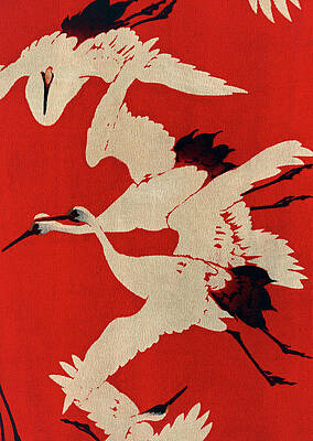 Japanese Crane Art Fine Art America