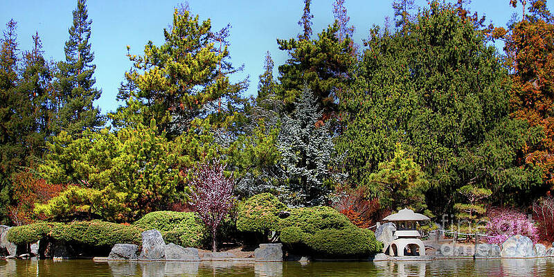 Japanese Tea Garden Art Page 3 Of 12 Fine Art America