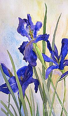 Irises Paintings (Page #31 of 35) | Fine Art America
