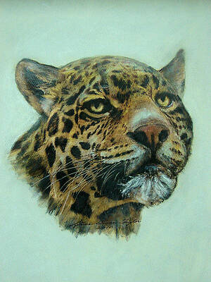 Jaquar by Linda Diane Taylor Jaquar by Linda Diane Taylor