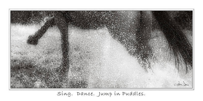 Jump In Puddles by Joan Davis Jump In Puddles by Joan Davis