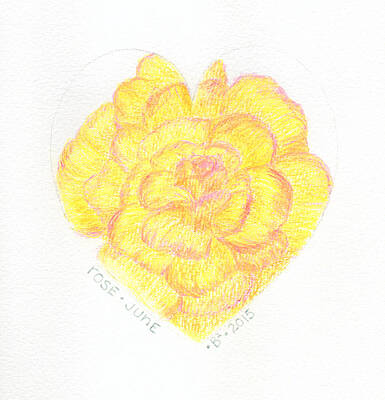 Wall Art - Drawing - June Rose HeartGarden by Barbara Bellissimo