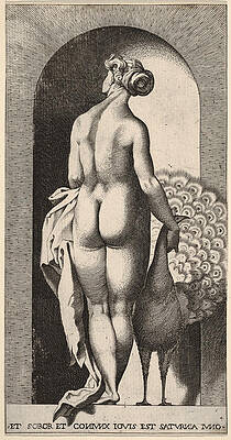 Juno standing in a niche Print by Giovanni Jacopo Caraglio