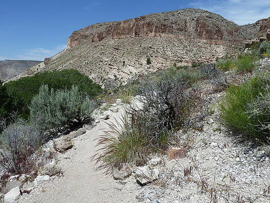 Kershaw-Ryan State Park by Joel Deutsch