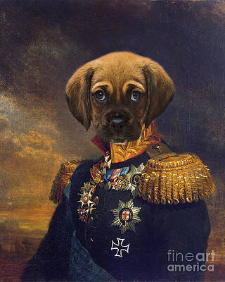 Regal Dog Paintings Fine Art America