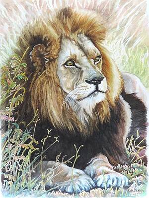 King of the Jungle by Jodi Higgins King of the Jungle by Jodi Higgins