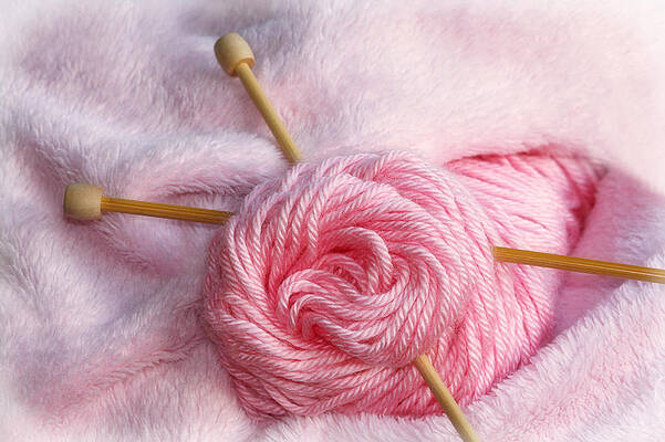 Knitting Needles In Pretty Pink Yarn by Tracie Kaska Knitting Needles In Pretty Pink Yarn by Tracie Kaska