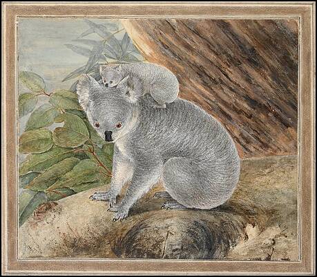 DIYthinker Australia Koala and Eucalypt Watercolor Photo Mount Frame Picture Art Painting Desktop 5x7 inch