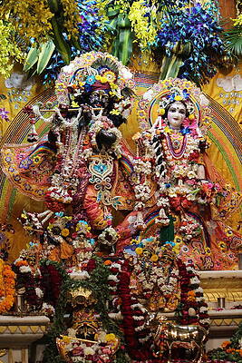 Cerimônias Hare Krishna - 23/08/2013 - Cotidiano - Fotografia - Folha de  S.Paulo
