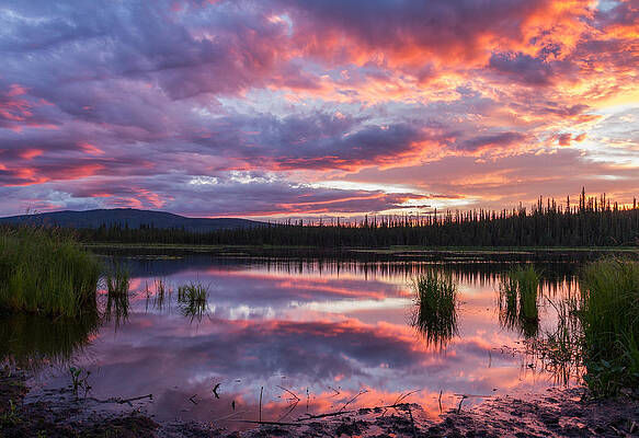 Lady of the lake by Deena Gridley