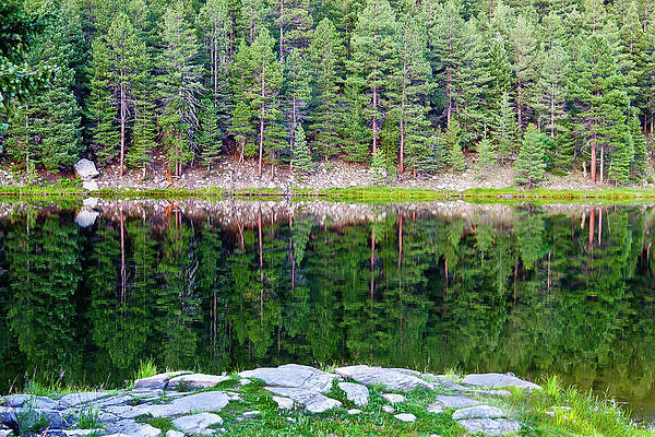 Wall Art - Photograph - Ponderosa Reflection by William T Templeton