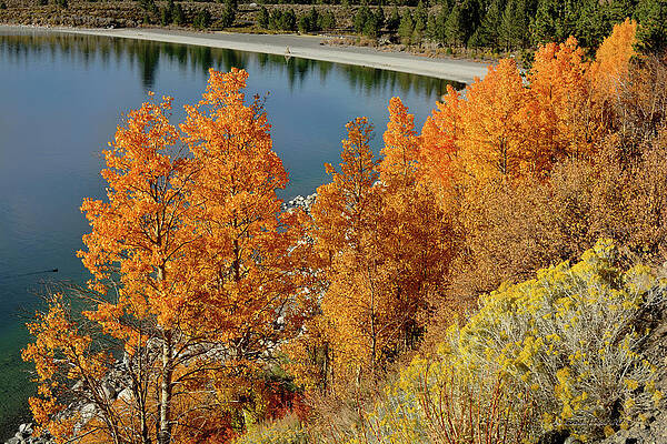 Wall Art - Photograph - Lakeside Splendor by Brian Tada