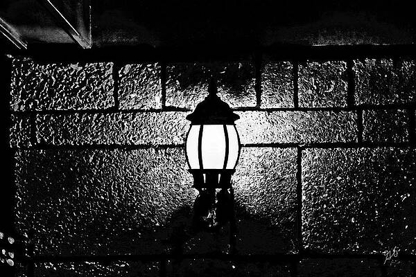 Wall Art - Photograph - Lamplight by Bayfront by Gina O'Brien