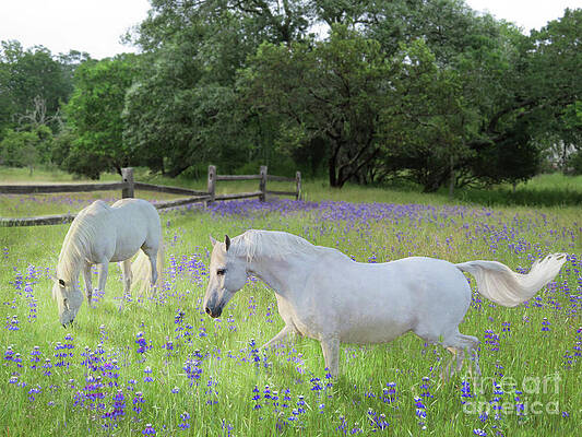 Wall Art - Digital Art - Lavender Pastures by Melinda Hughes-Berland