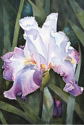 Iris Paintings (Page #22 of 35) | Fine Art America