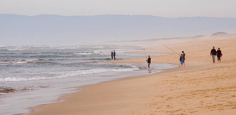 Wall Art - Photograph - Lazy Walk on the Beach by Derek Dean