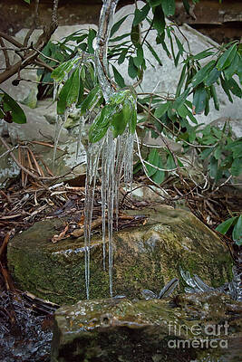 Leaf Drippings by Wanda Krack Leaf Drippings by Wanda Krack