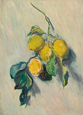 Lemon tree branch Print by Claude Monet