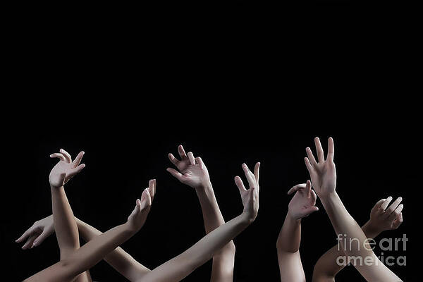 Wall Art - Photograph - Lend me a hand by Robert WK Clark