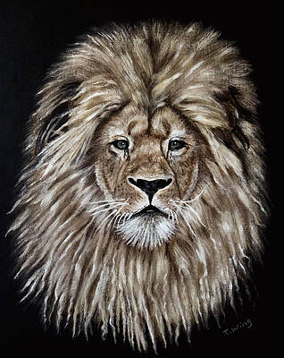 Winged Cat Paintings Fine Art America