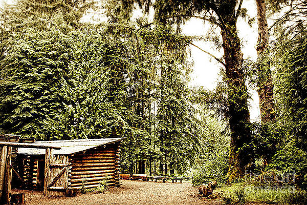 Wall Art - Photograph - Lewis and Clark's Fort Clatsop in the Old Growth Forest by Lincoln Rogers