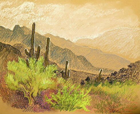 20+ Drawings Of Arizona