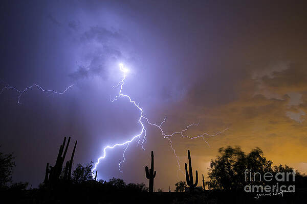 Lightning Storm Arizona by Joanne West Lightning Storm Arizona by Joanne West
