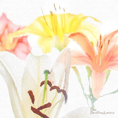 Lilies by David Perry Lawrence Lilies by David Perry Lawrence