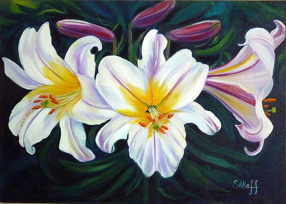 Lilium Regale by Janet Silkoff Lilium Regale by Janet Silkoff