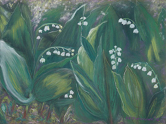 Lily of the Valley – Painted Finch Gallery
